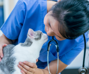  Veterinary Nursing