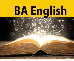  Bachelor of Arts in English Literature