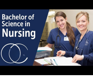  Bachelor of Science in Nursing